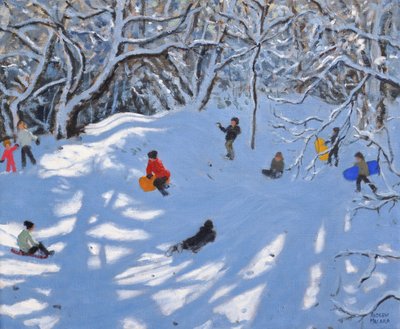 Weihnachten, Allestree Woods, Derby von Andrew Macara