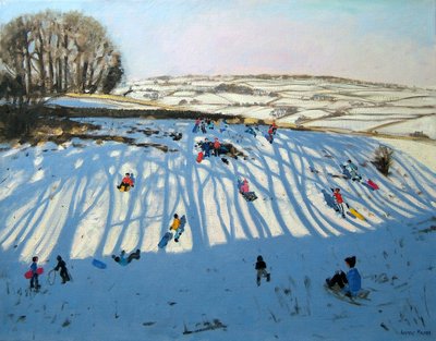 Felder der Schatten, Monyash, Derbyshire von Andrew Macara