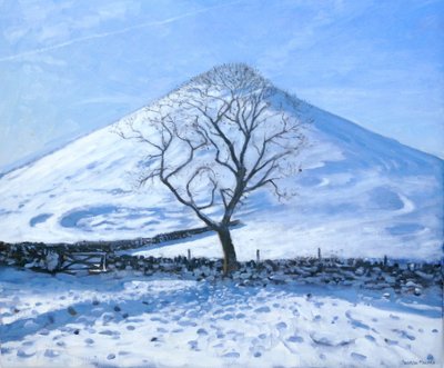 Hügel und Baum, Derbyshire, 2008 von Andrew Macara