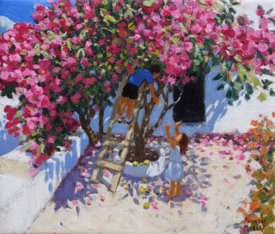 Zitronen pflücken, Skiathos, Griechenland von Andrew Macara