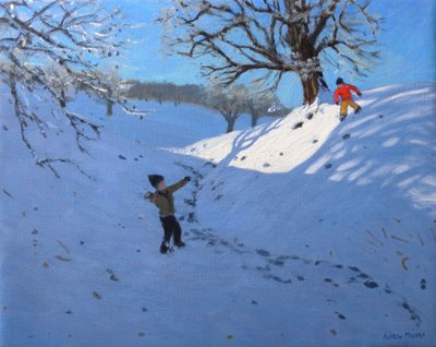 Schneeballschlacht von Andrew Macara