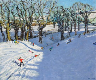 Winter, Rowsley, Derbyshire, 2014 von Andrew Macara