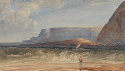 Die Küste von Antrim von Andrew Nicholl