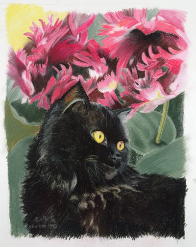 Schwarze Tulpen von Anne Robinson