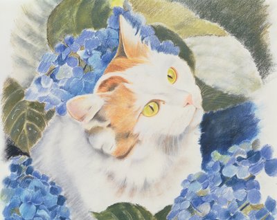 Türkische Van-Katze von Anne Robinson