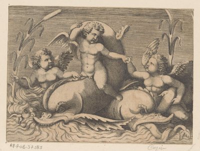 Drei Putti mit Delfinen von Anonymous