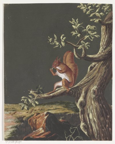 Eichhörnchen auf einem Ast von Anonymous