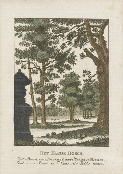 Haagse Bos von Anonymous