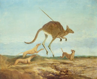 Kängurujagd von Anonymous