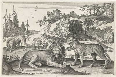 Löwen und Leopard von Anonymous