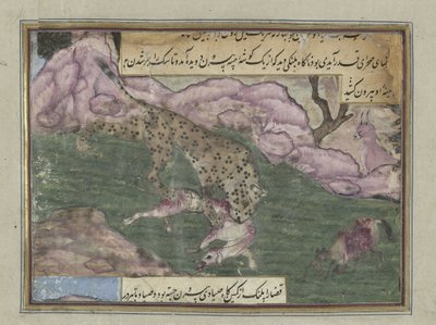 Leopard tötet einen Hund von Anonymous