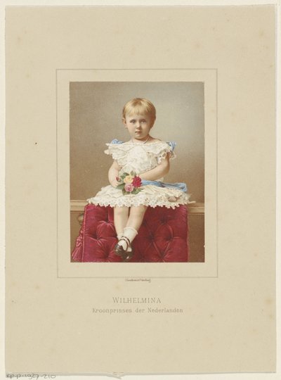 Porträt von Wilhelmina, Königin der Niederlande von Anonymous