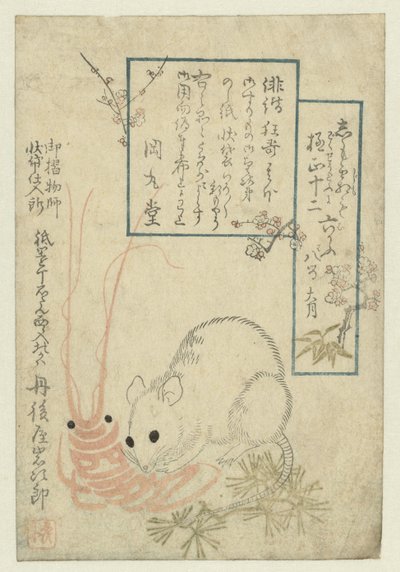 Ratte mit Flusskrebs von Anonymous