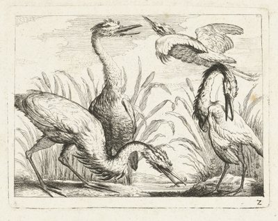 Reiher bei einem Teich (Serientitel: Einheimische Vögel) von Anonymous