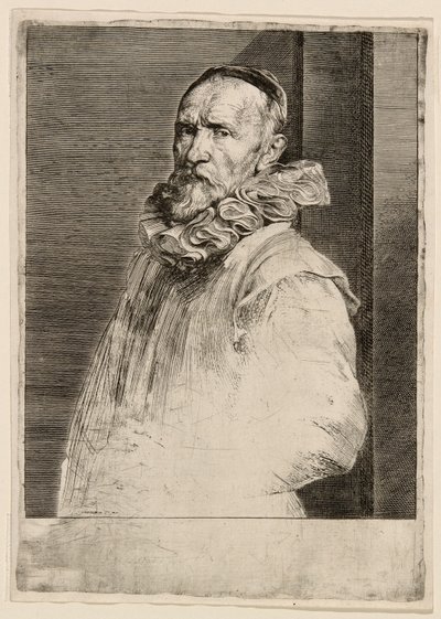 Jan de Wael von Anthony van Dyck