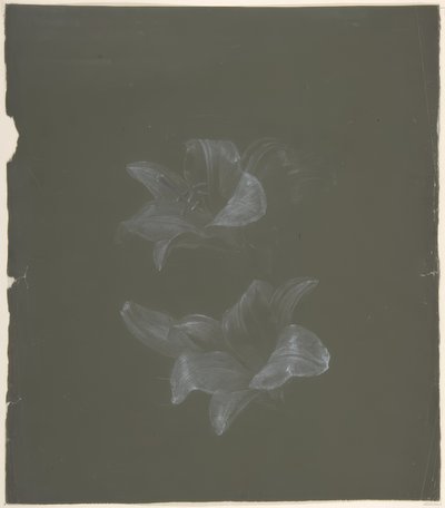 Florales Design von Antoine Berjon