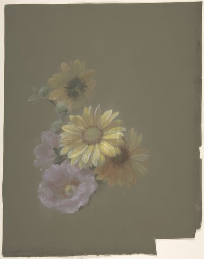 Gelbe Gänseblümchen und Rosa Wildrose von Antoine Berjon
