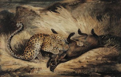 Leopard frisst ein Wildschwein von Antoine Louis Barye