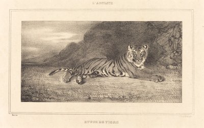 Studie eines Tigers von Antoine Louis Barye