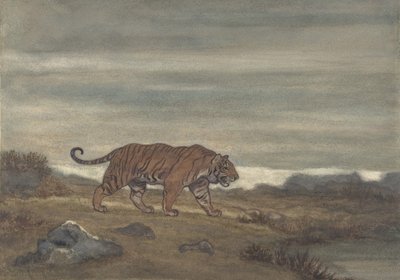 Tiger nähert sich dem Teich, 1810-75 von Antoine Louis Barye