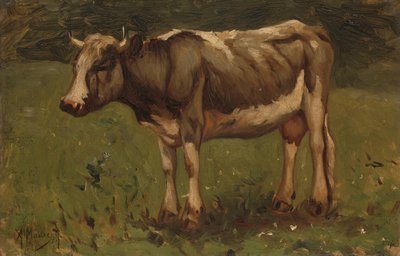 Kuh von Anton Mauve
