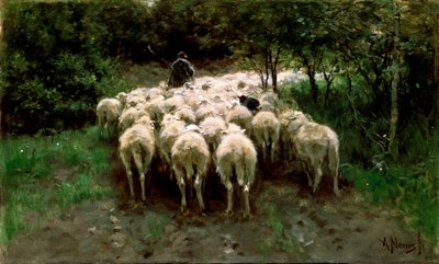 Schafe im Wald, 19. Jahrhundert von Anton Mauve