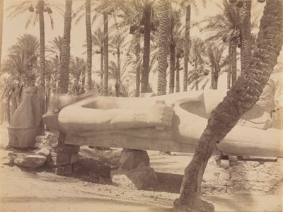 Statue von Ramses in Saqqara von Antonio Beato
