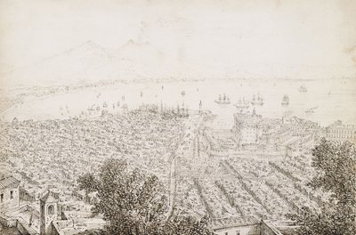 Ein Panoramablick auf Neapel von Antonio Senape