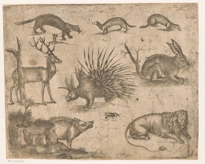 Studienblatt mit verschiedenen Tieren von Antonio Tempesta (attributed to)
