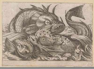 Zwei kämpfende Fische von Antonio Tempesta