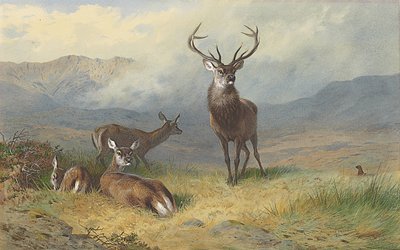 Monarch des Glen von Archibald Thorburn