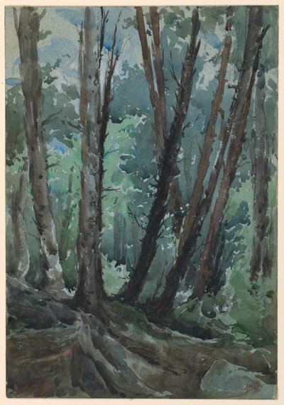 Wald von Arnold William Brunner