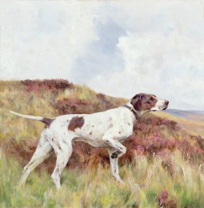 Ein Pointer von Arthur Wardle