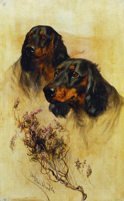 Zwei Gordon Setter von Arthur Wardle