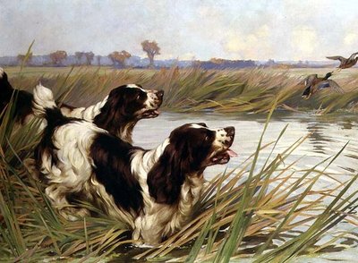 Zwei Springer, die Stockenten jagen von Arthur Wardle