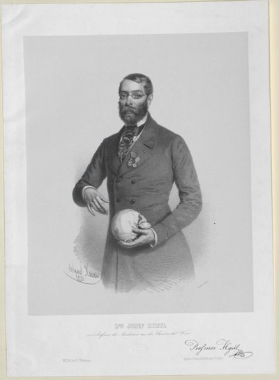 Joseph Hyrtl von Artist Unknown