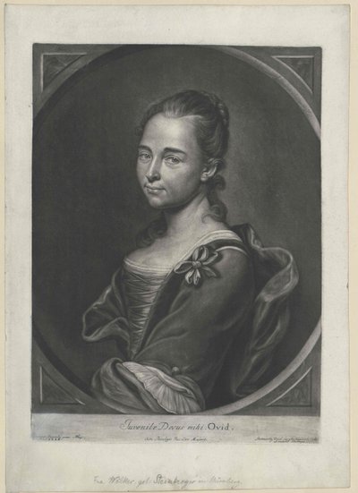 Steinberg (Gipfel) von Artist Unknown
