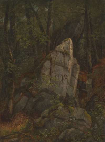 Studie von Felsen in Pearson