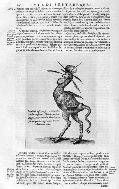 Mythische Kreaturen, 1678 von Athanasius Kircher
