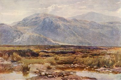 Cader Idris von Augustus Watford Weedon