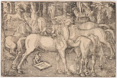 Gruppe von sieben Pferden, 1534 von Baldung