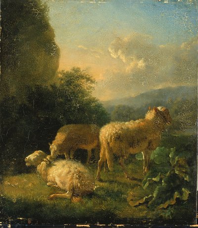 Schafe von Balthasar Paul Ommeganck