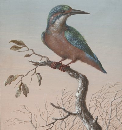 Eisvogel von Barbara Regina Dietzsch