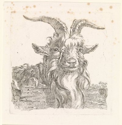 Kopf einer Ziege von Barend Hendrik Thier