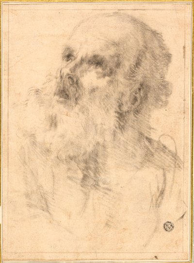 Kopf eines alten Mannes von Bartolomé Esteban Murillo
