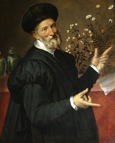 Der Botaniker von Bartolommeo Passerotti