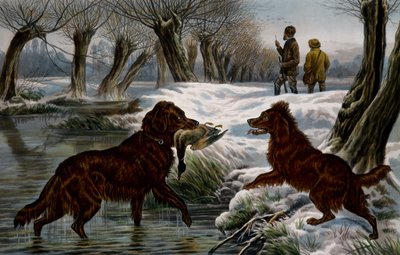 Wildentenjagd von Basil Bradley