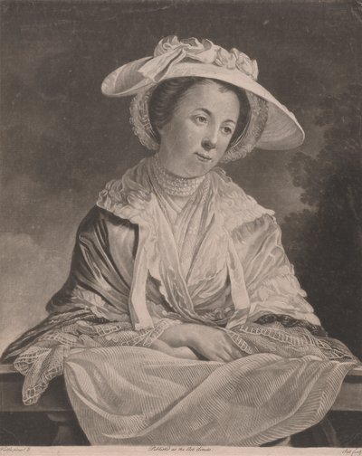Fräulein Baldwin von Benjamin Green