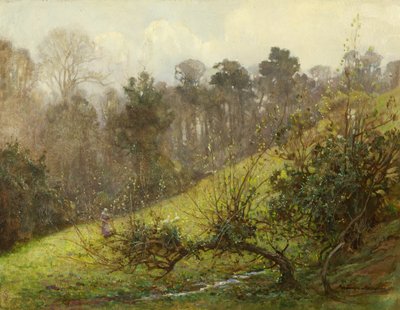 Gänse und Küken von Benjamin Haughton
