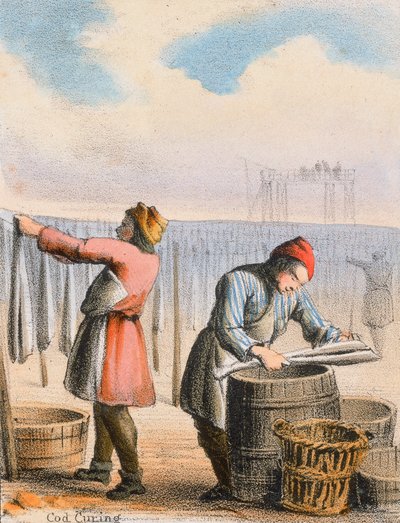 Dorsch Trocknung, ca. 1845 von Benjamin Waterhouse Hawkins